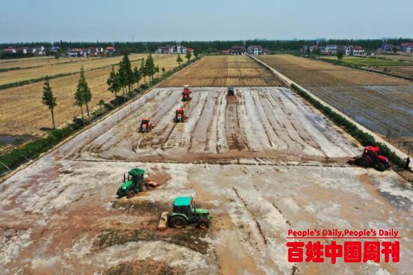 港媒关注：中国明年将建亿亩高标准农田 与爱尔兰领土面积相当