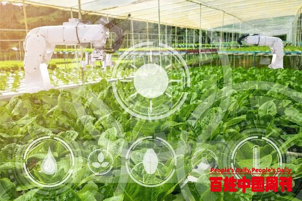 如何加快推进农业关键核心技术攻关？四位院士支招