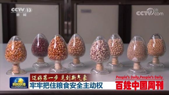 端牢中国饭碗，这两个词很重要