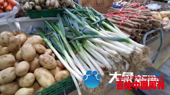 “向钱葱”来袭！预计年前将继续涨，你还吃得起大葱吗？