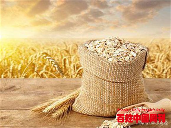 70后不种地80后不会种地90后拒绝种地农村田地由谁来种？