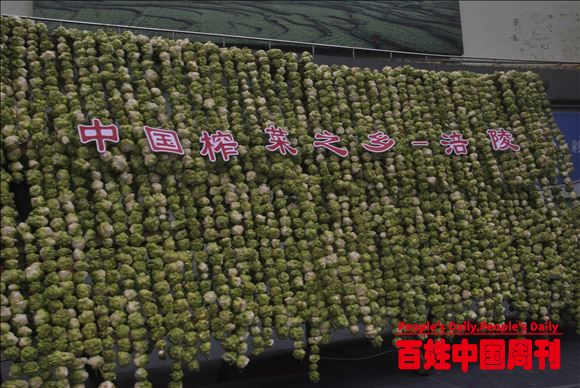 重庆涪陵榨菜120亿产业 国家现代农业产业园榨菜扶贫
