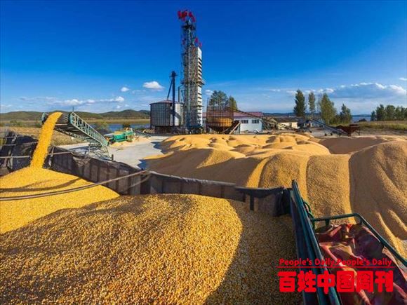 国之根本：我国决定用5年时间解决粮食难题降低风险