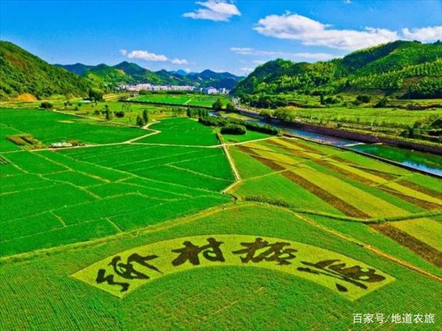 科技助农没有“休止符”——从中关村科技企业扶贫故事看乡村振兴新路