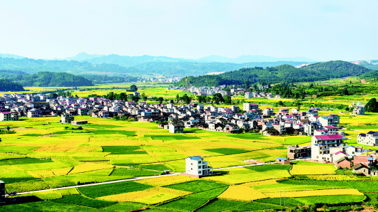 建立乡村环境治理新机制 平谷推出“生态积分”“红黑榜”