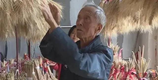 陕西杨凌职业技术学院赵瑜：58年守望麦田育良种