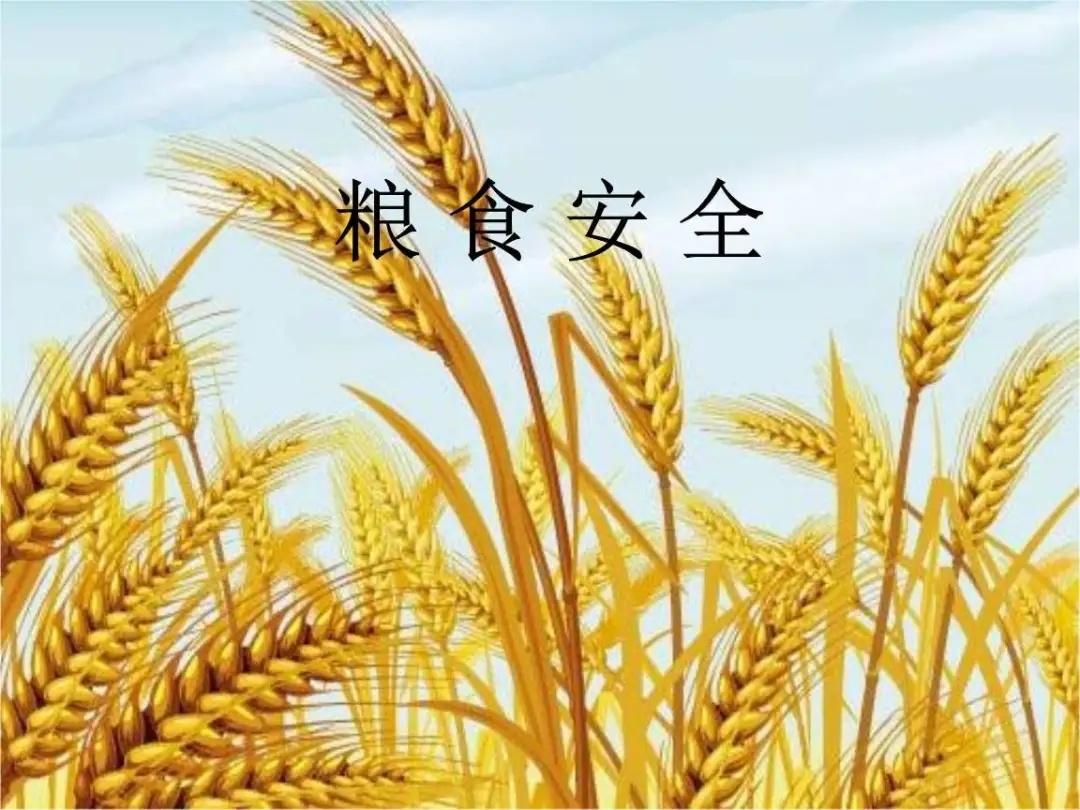 三农观察：“粮食安全”成“十四五”重要任务，农村服务业龙头企业受益