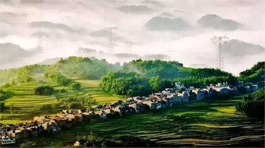 中国新闻网：发展乡村旅游推动乡村振兴战略