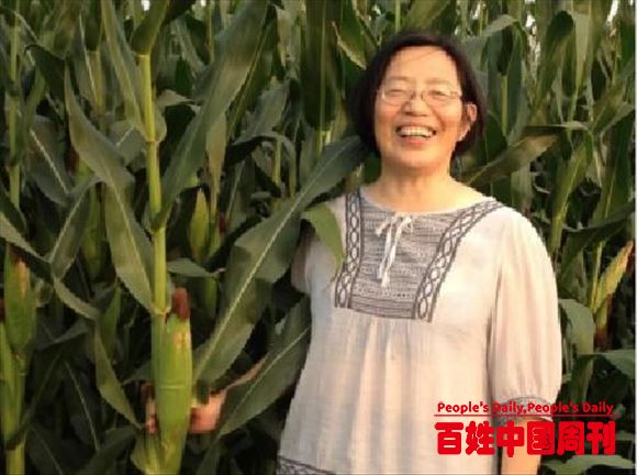 杨团：哪怕年过七旬 她仍乐于为乡村振兴忙碌着