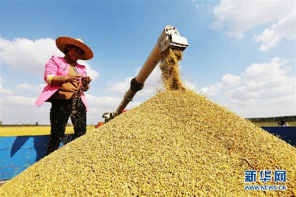 我国保存种质资源总量突破52万份 位居世界第二