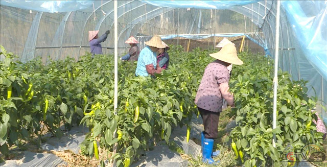 广东潮州发挥土地资源最大效益助推乡村振兴战略实施