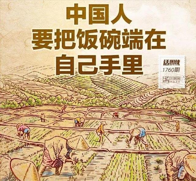 中国进入粮食和物资储备安全重要性凸显期 官方提出重要七项保障措施