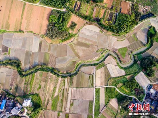 农业农村部：要像保护大熊猫一样保护耕地，守住18亿亩耕地红线