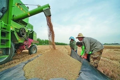 透视小种子背后的大战略——一国粮食安全,系于种质资源