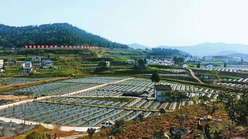 2021年中国农机10大发展趋势
