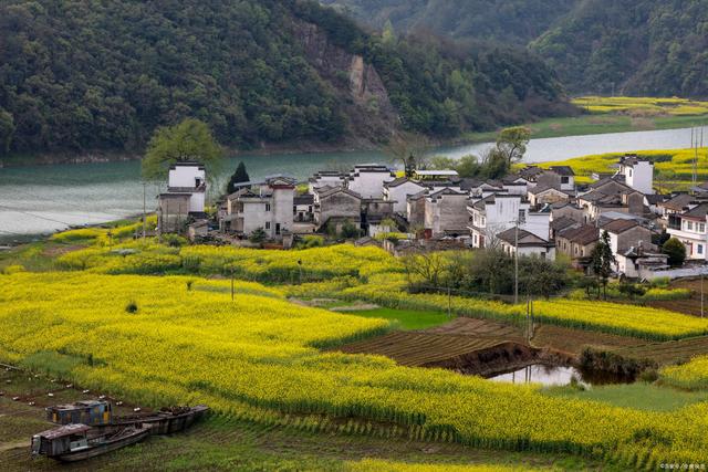 人民论坛网评：用新发展理念指引乡村振兴