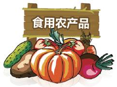 对食用农产品市场销售质量安全监管的几点期待