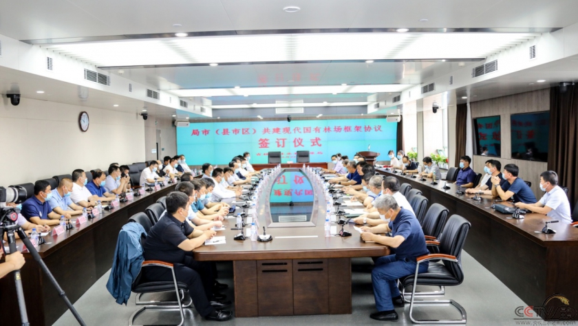吉林省将用5年时间创建一批现代国有林场
