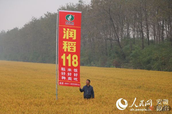 丰乐种业：助力打赢种业翻身仗 端牢中国人饭碗