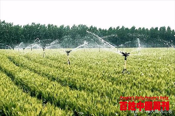 农业类特色小镇由政府主导配套服务和公司主导的生产服务延伸而来