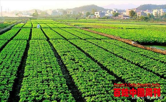 农业现代化产业将会促进农产品生产端的供应链优化和销售端的市场拓展