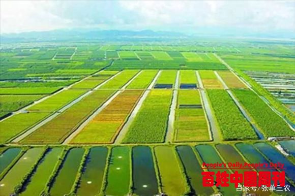 农业现代化产业布局是现代经济发展的新目标、新机遇