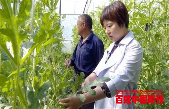 女博士返回山东老家，从基层做起，带领农村致富，集体收入破千万