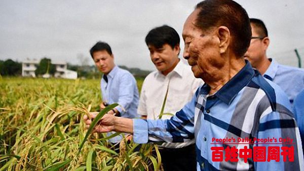 13个产粮国紧急叫停出口，粮食危机来临，袁隆平再创世界奇迹！