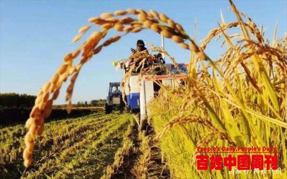 国内农业和国外差距在哪？中国院士一语道破真相，这一步很关键