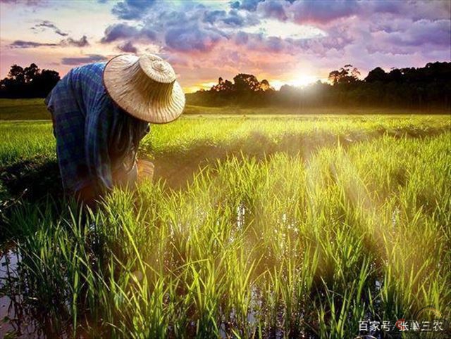 农业信息化都有比较大的空间，想深耕农业信息化，这方面需要关注