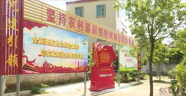 广东省潮州市潮安区抓基层强基础推动乡村发展