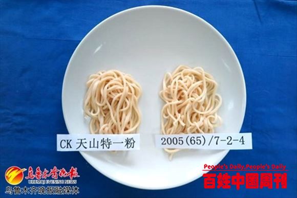 新疆科研人员探寻新疆拉条子更“筋道”的奥秘