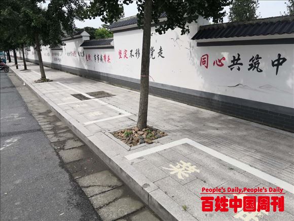 浙江桐庐县江南镇多措并举 擦亮“美丽江南”品牌
