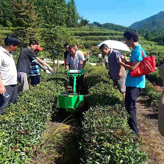 湖南益阳安化县农机事务中心助力茶产业发展