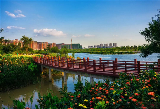 广东省东莞市用“绣花”功夫点缀美丽乡村画卷