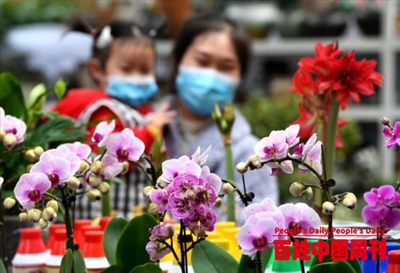 河北石家庄：久违的城市“烟火气”正在回归