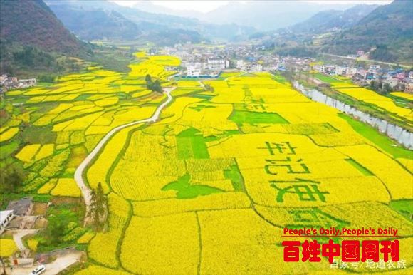 乡村振兴的“六链链接”，让我们“流连忘返”！