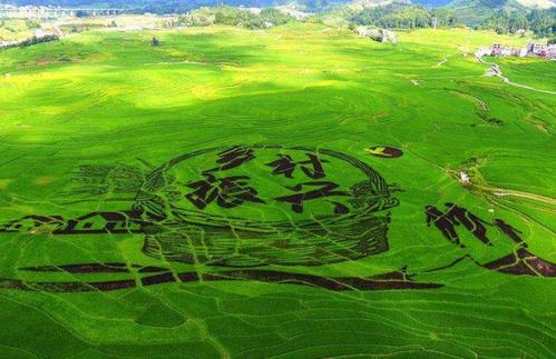 山西天镇县马家皂乡东要泉村第一书记王建宇：扎根山村为乡亲