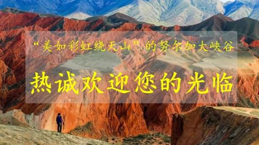 新疆两会热议：壮大优势产业 打响“新疆品牌”