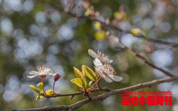  “春打五九尾，叫花子跑断腿”，为何不好讨饭？老农民早有预测