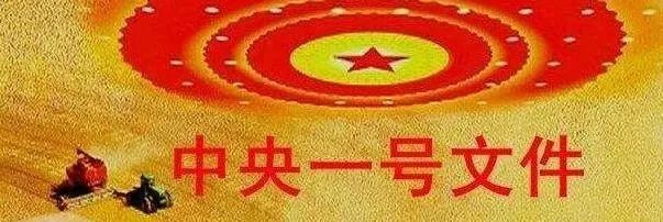 三农之声新视觉：2021年一号文件即将印发，内容抢鲜看