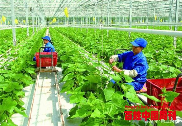 “返乡潮”要消失了？农民工表示“年后不再返城”，原因令人心疼