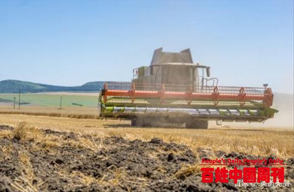 专家鼓励秸秆还田，农民发现存在一个严重弊端，质问损失由谁承担