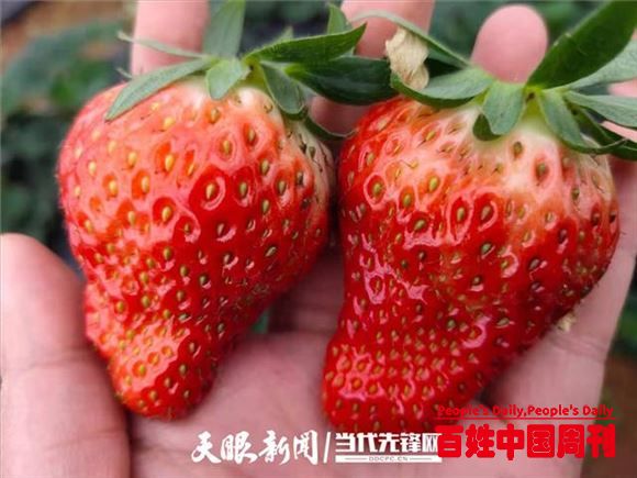 新春走基层：铜仁大学生回乡“揉泥巴”闯出一片天