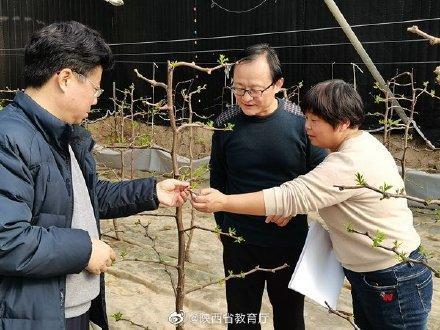 冬闲人不闲，西农大专家一线工作忙