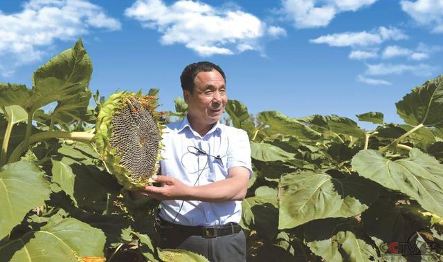 大地灵性福如春——记河北硅谷集团董事长宋福如