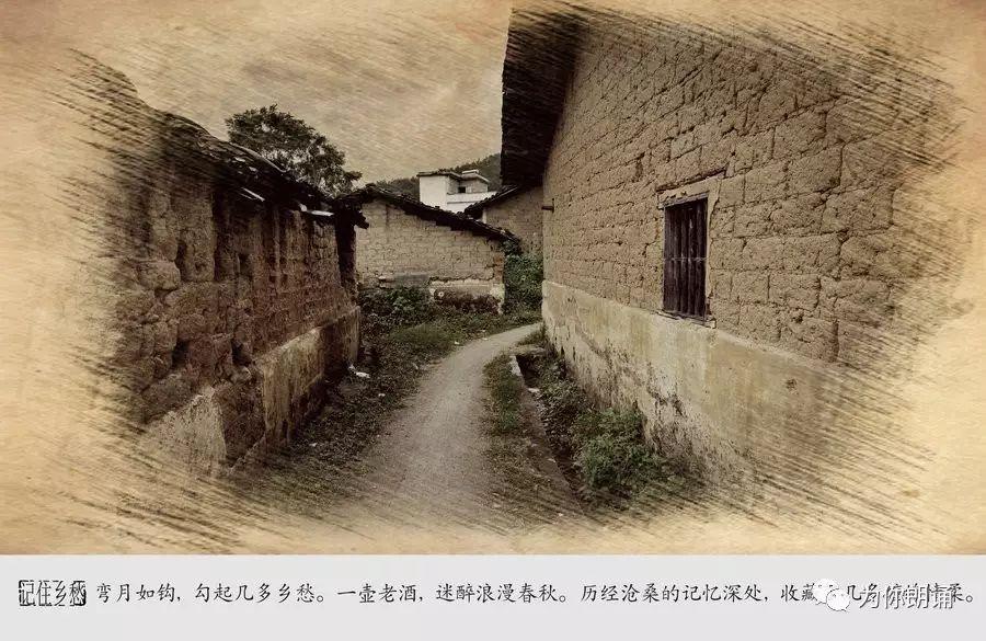 “牛”在四川过新年·家书：年初三，游子笔下的海南塞北和乡愁