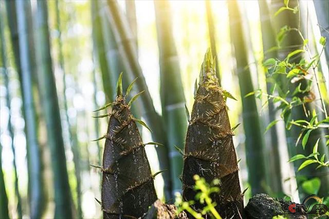 德孝中华周刊：熬得住出众，熬不住出局