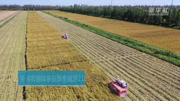 新华社:全国农担体系已初步建成 在保余额超2100亿元