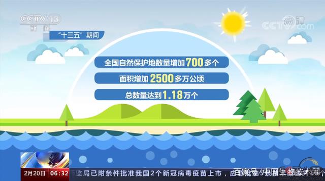 自然资源部：我国初步形成生态修复新格局